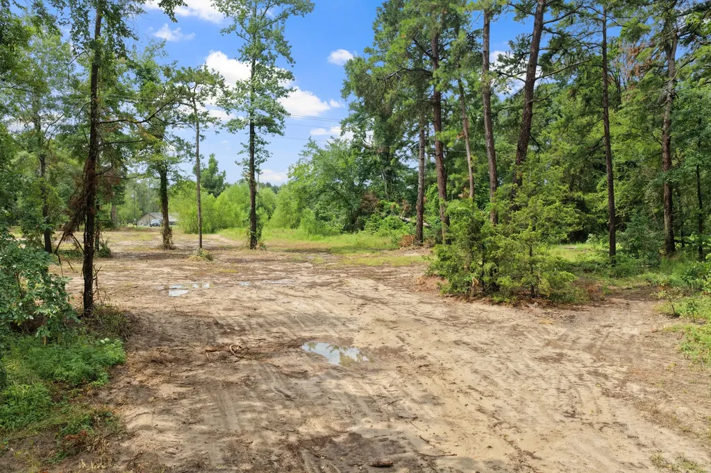 4580 Fm 3007 Scroggins TX 75480