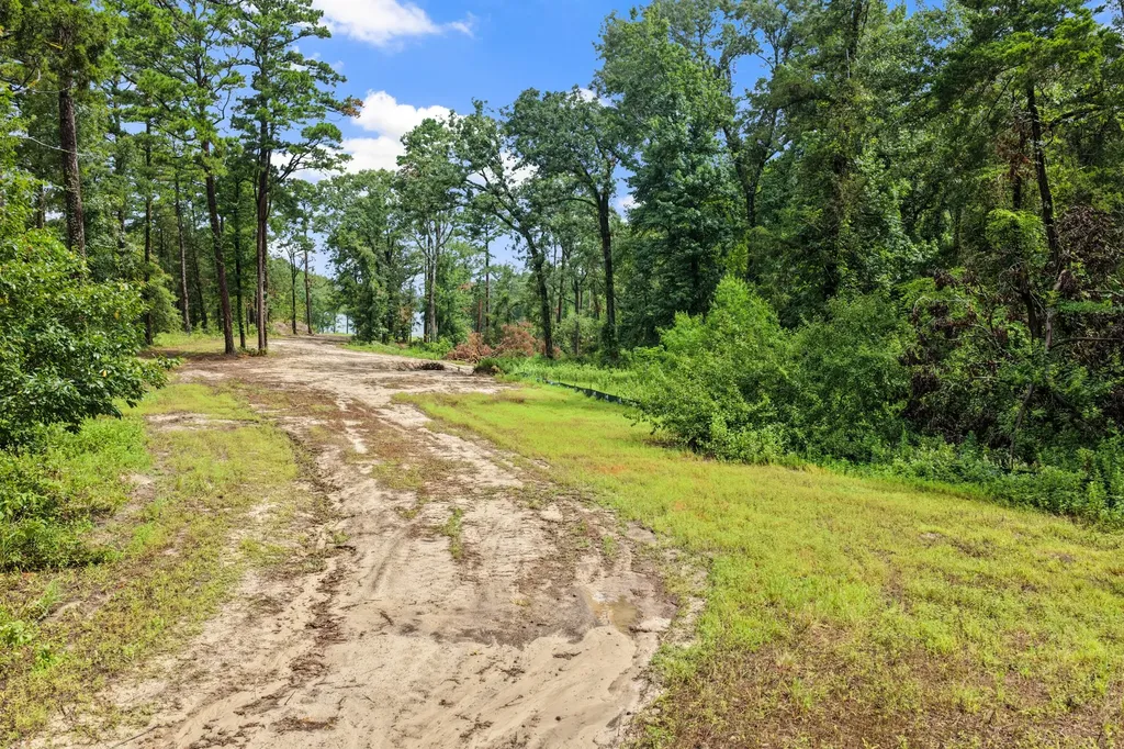 4580 Fm 3007 Scroggins TX 75480