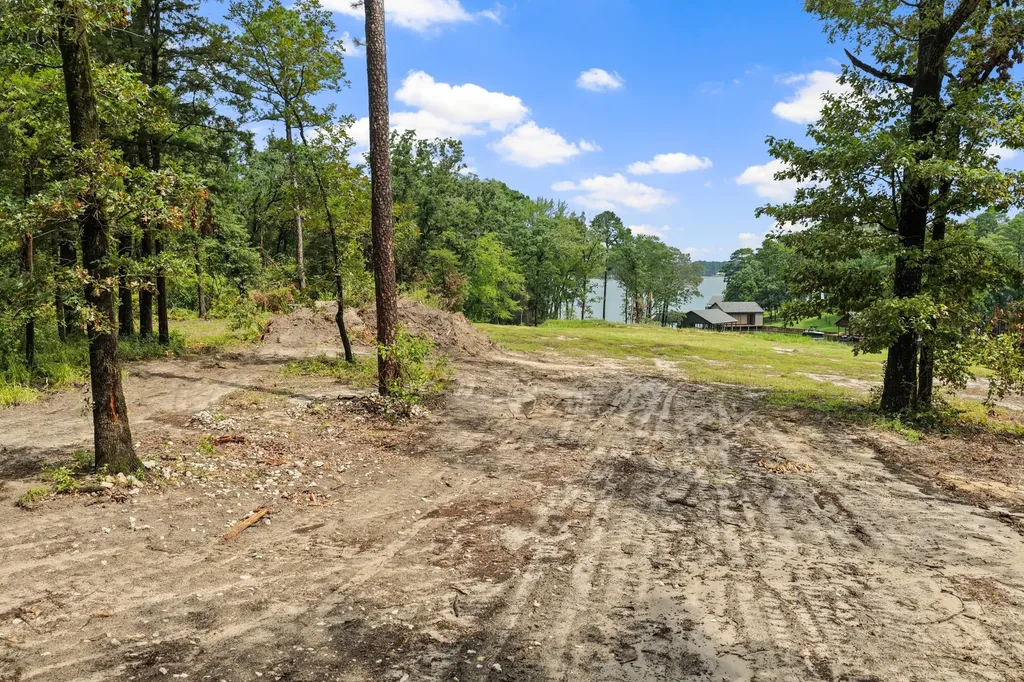 4580 Fm 3007 Scroggins TX 75480