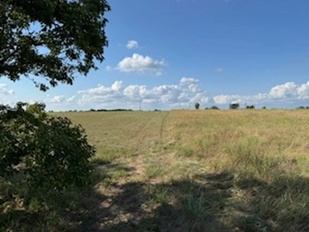 0000 County Road 4000 Gainesville TX 76240