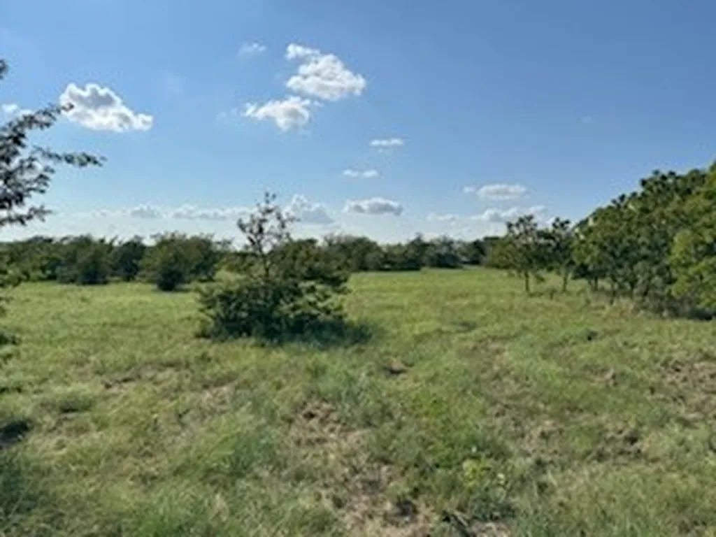 0000 County Road 4000 Gainesville TX 76240