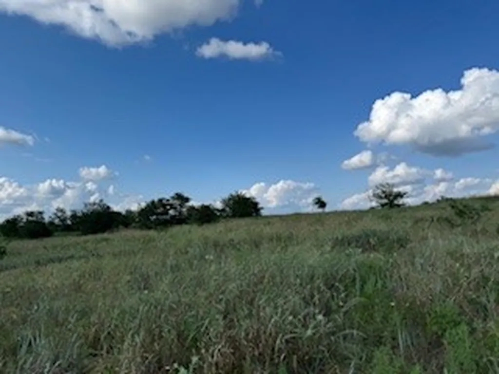 0000 County Road 4000 Gainesville TX 76240