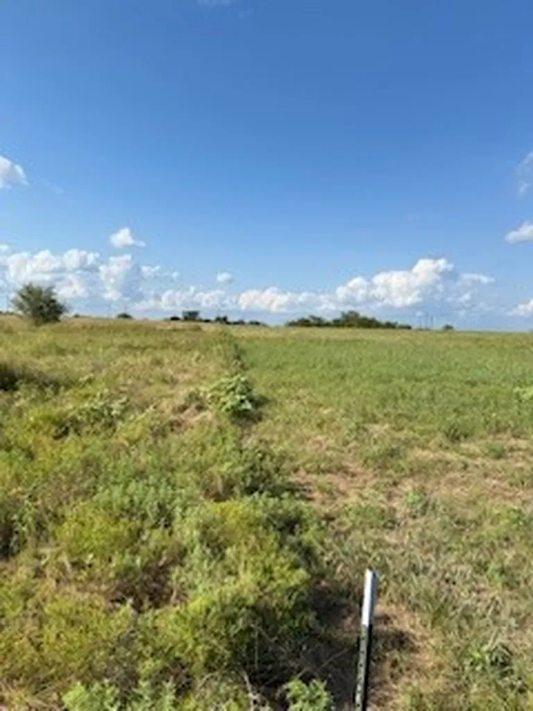 0000 County Road 4000 Gainesville TX 76240