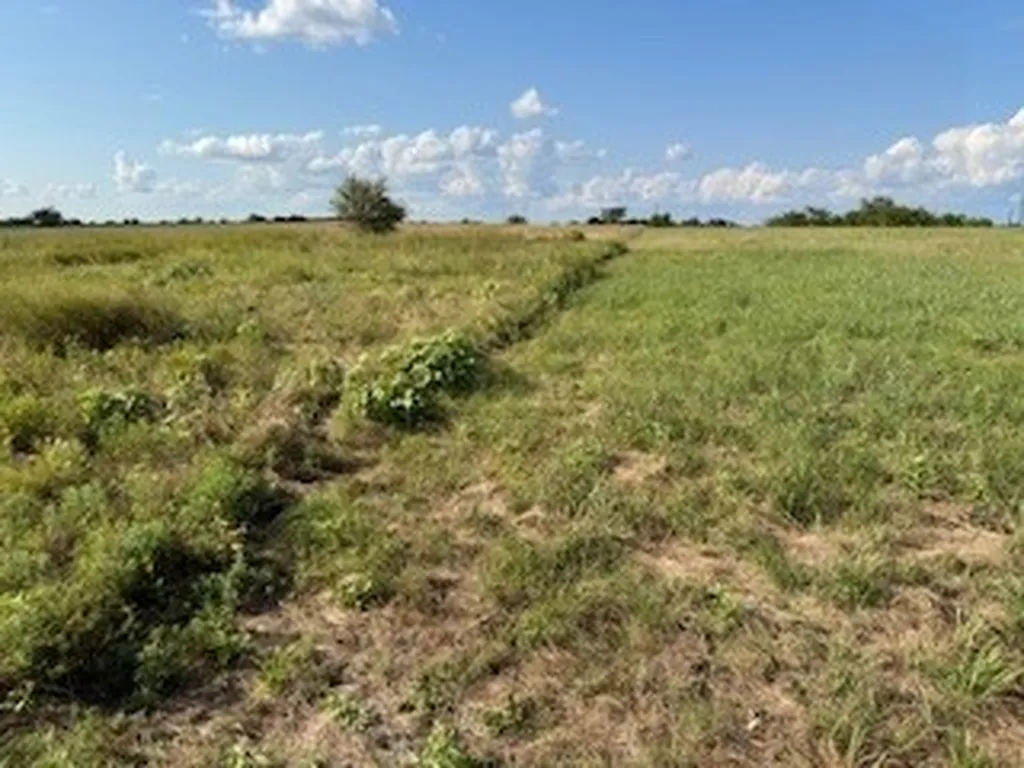 0000 County Road 4000 Gainesville TX 76240