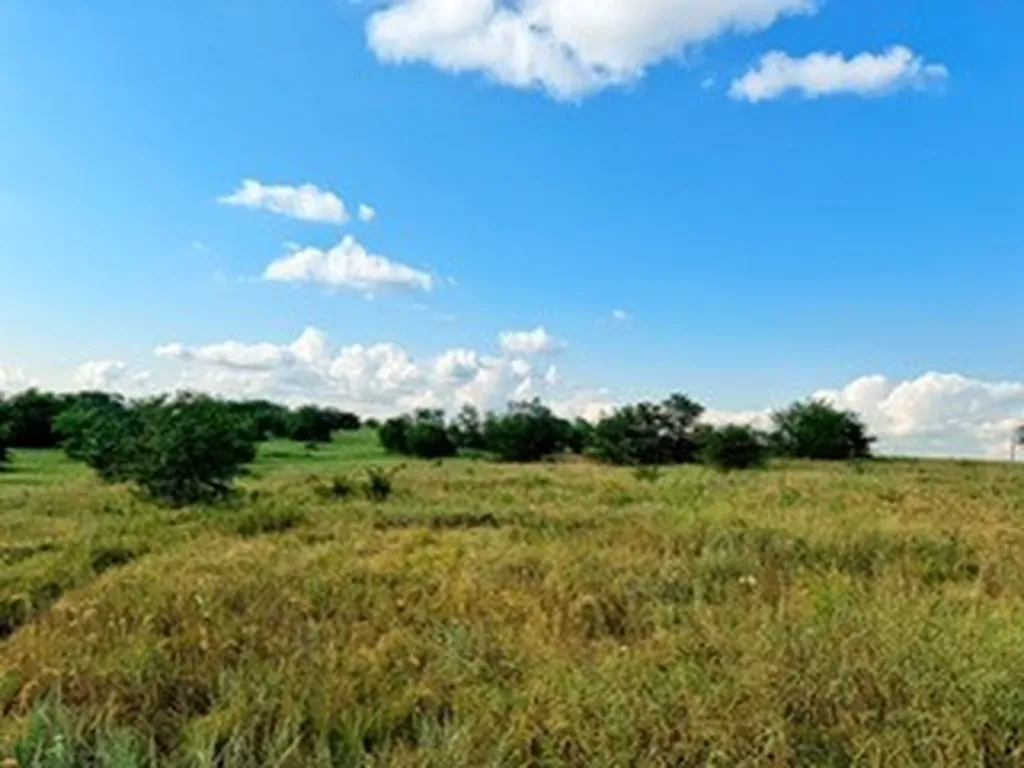 0000 County Road 4000 Gainesville TX 76240