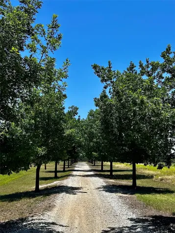7846 County Road 452 Cross Plains TX 76443
