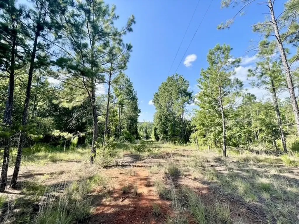 8262 Us Highway 84 W Mount Enterprise TX 75681
