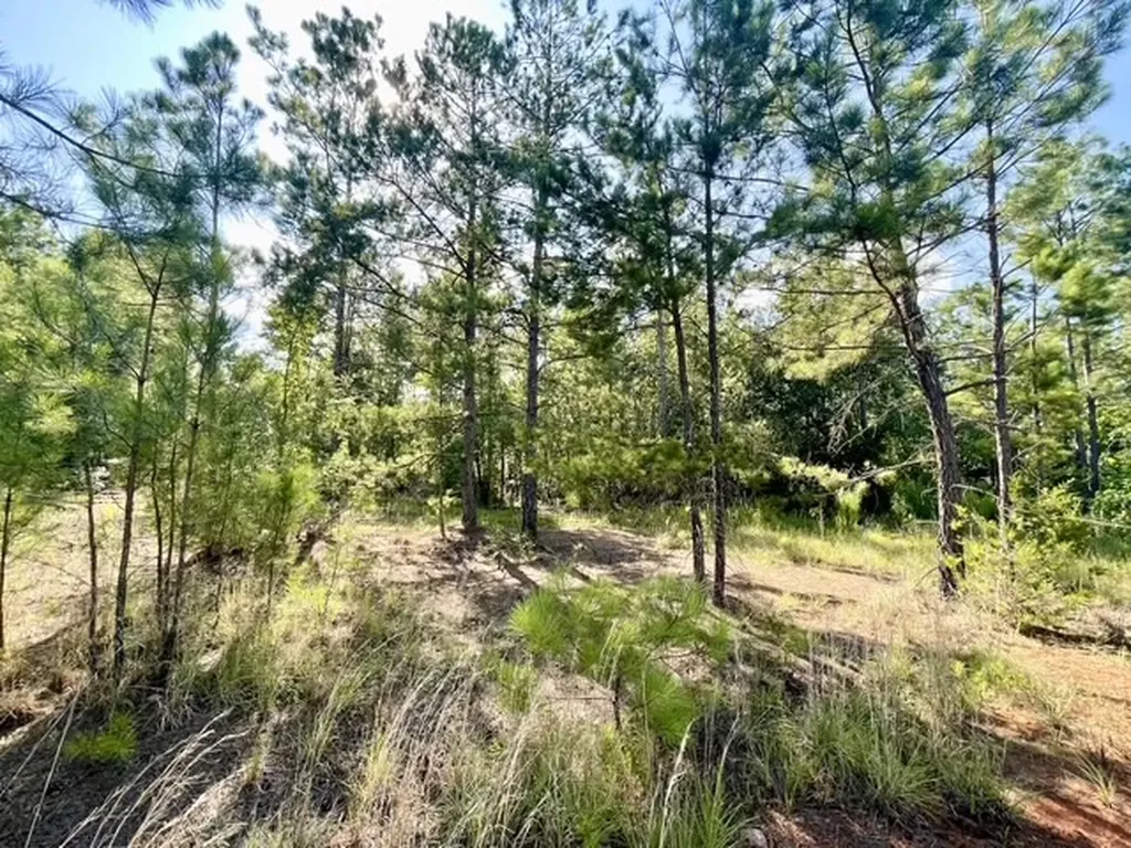 8262 Us Highway 84 W Mount Enterprise TX 75681