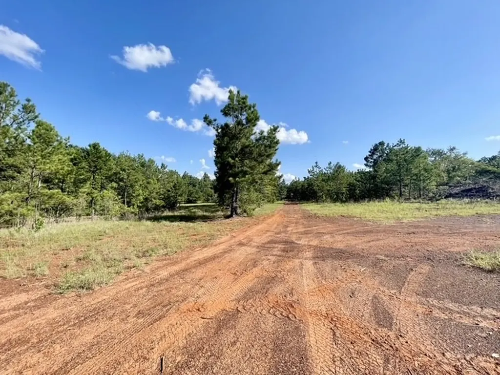 8262 Us Highway 84 W Mount Enterprise TX 75681