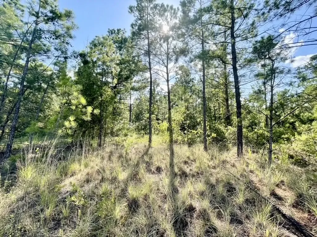 8262 Us Highway 84 W Mount Enterprise TX 75681