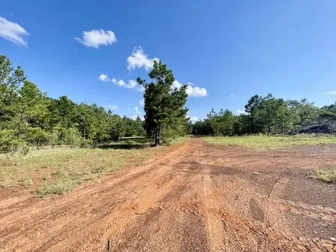 8262 Us Highway 84 W Mount Enterprise TX 75681