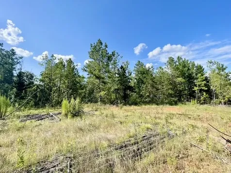8262 Us Highway 84 W Mount Enterprise TX 75681