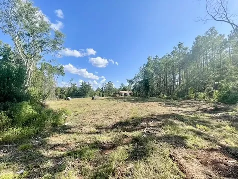 8262 Us Highway 84 W Mount Enterprise TX 75681