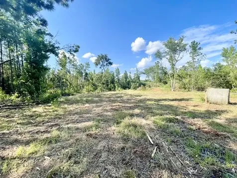 8262 Us Highway 84 W Mount Enterprise TX 75681