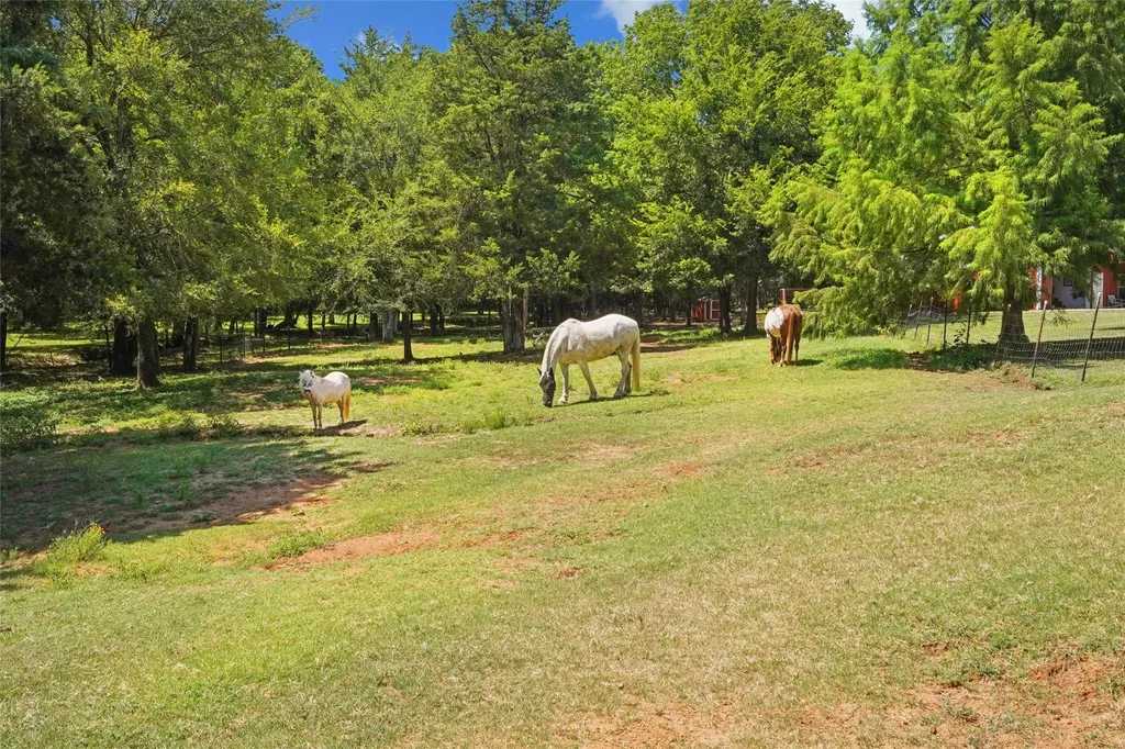 1433 Old Sadler Road Sadler TX 76264