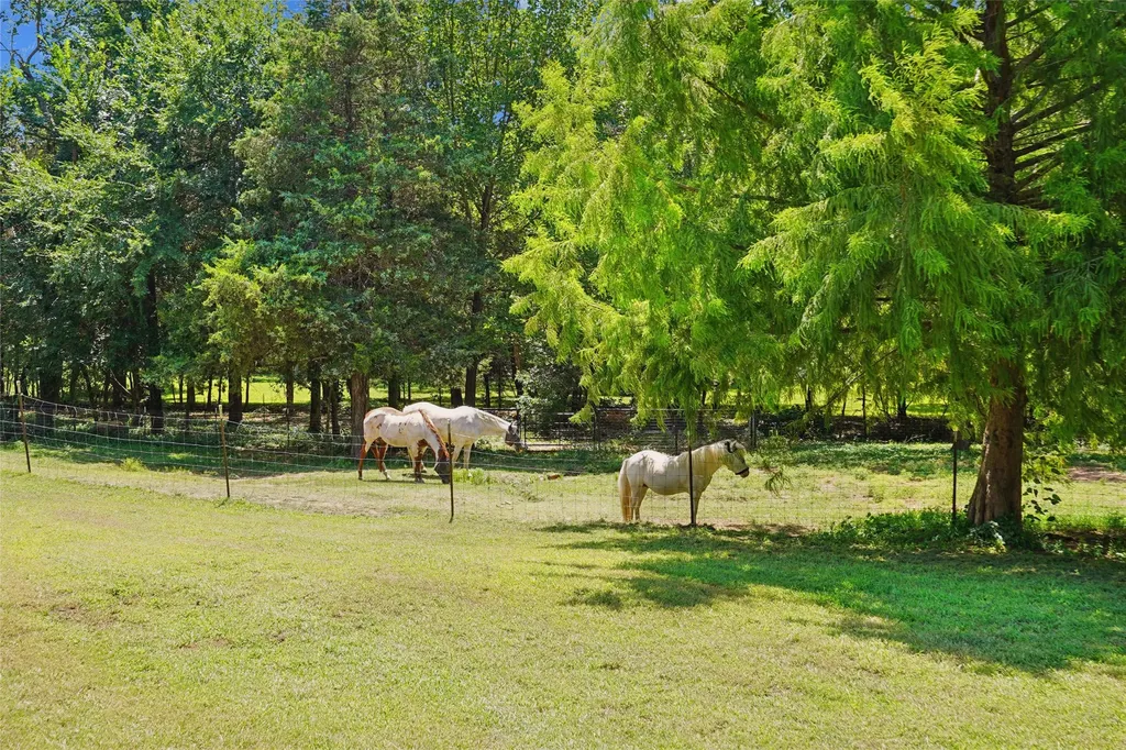 1433 Old Sadler Road Sadler TX 76264