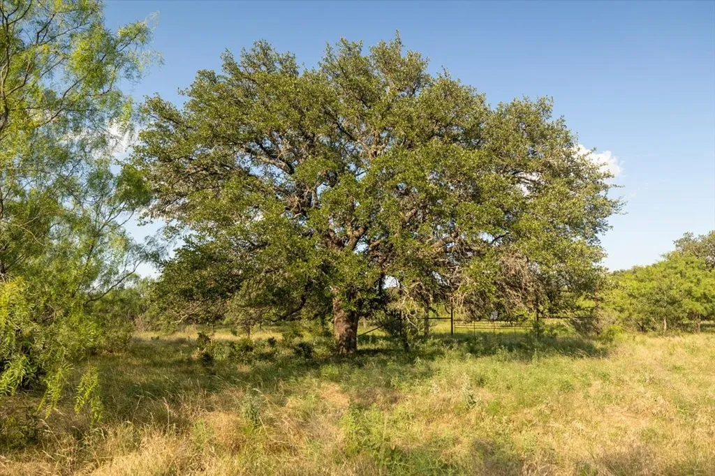 Tbd Legends Drive Ranger TX 76470