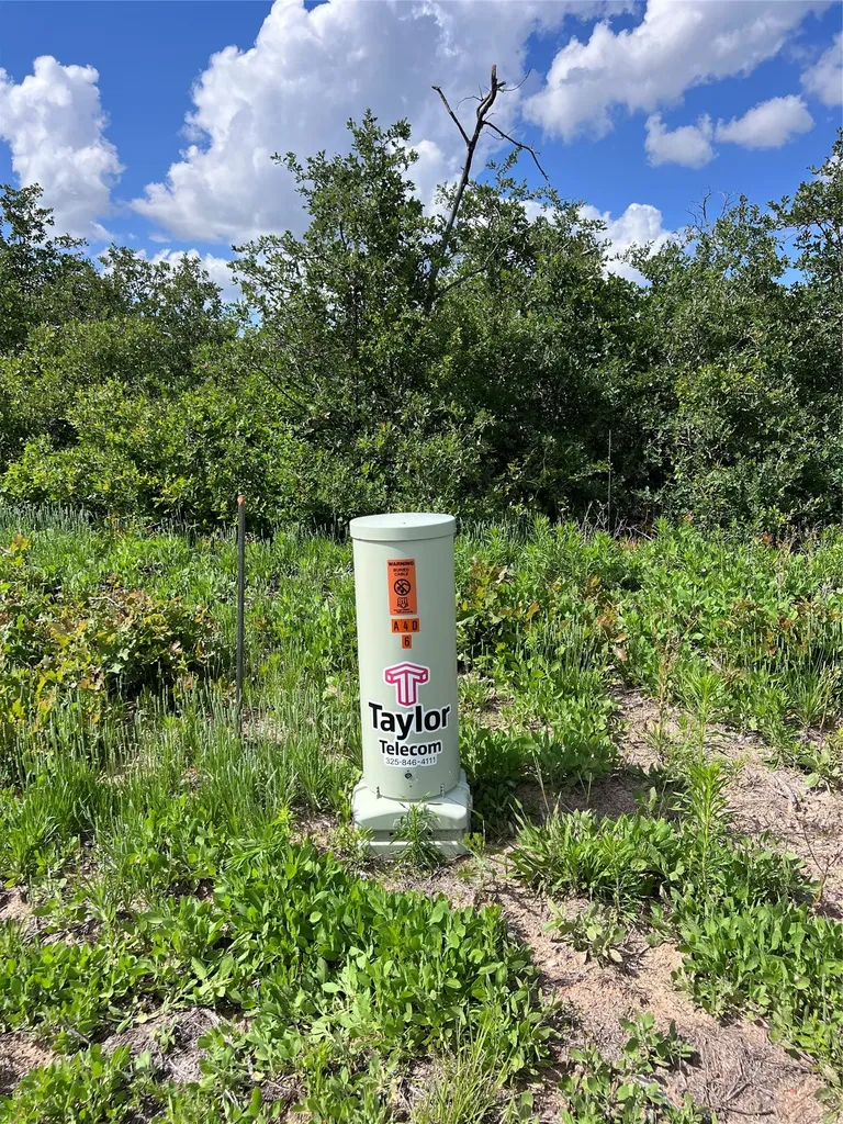 Tbd Live Oak Trail Clyde TX 79510