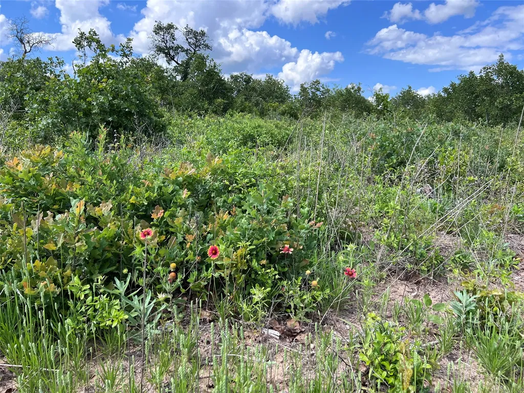 Tbd Live Oak Trail Clyde TX 79510