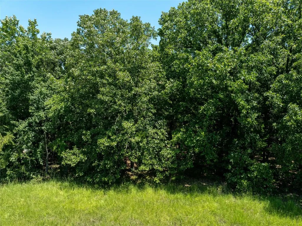 Tbd 906 E Paris TX 75462