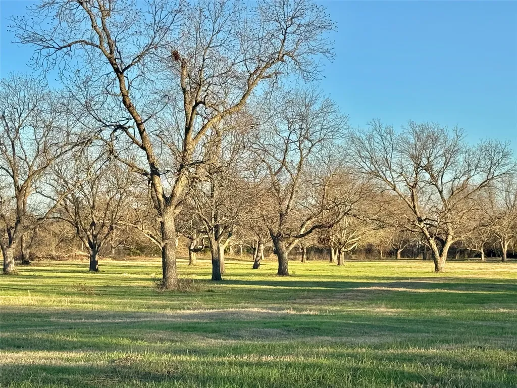 738 Cole Street Gainesville TX 76240