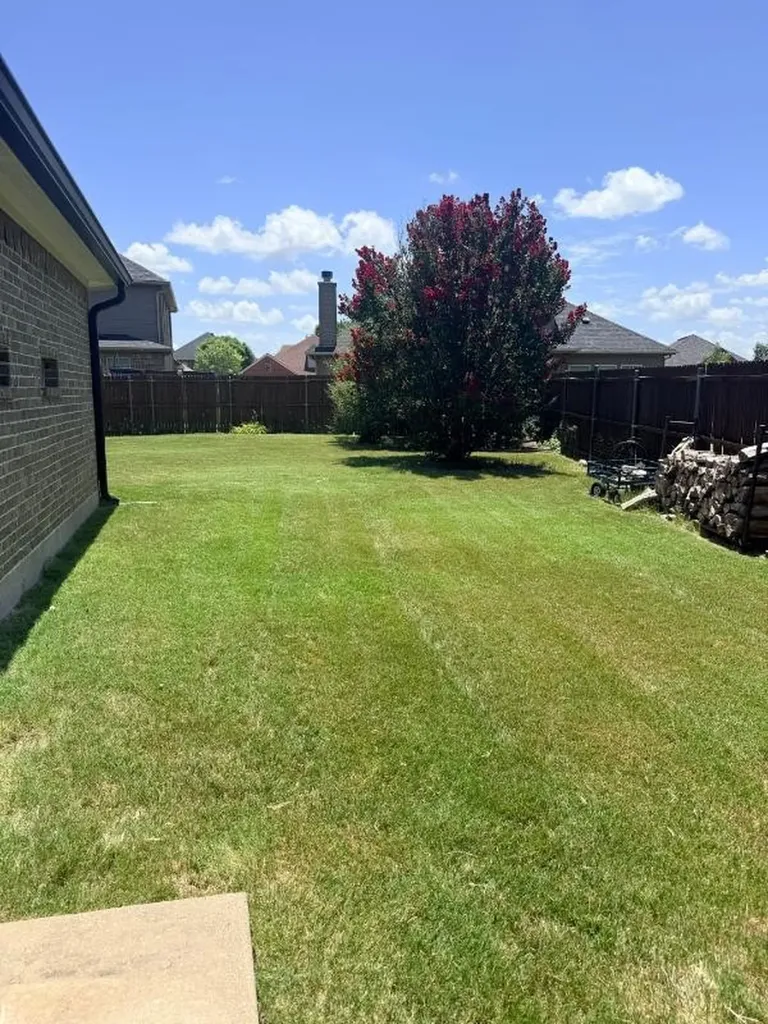 136 Holly Street Waxahachie TX 75165