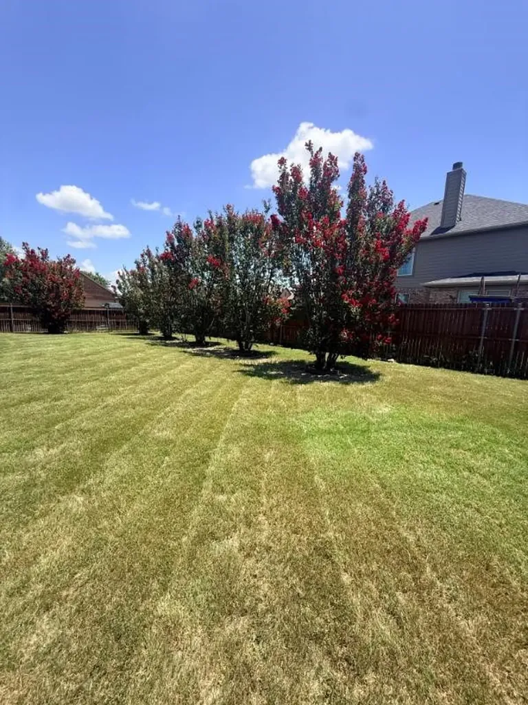 136 Holly Street Waxahachie TX 75165