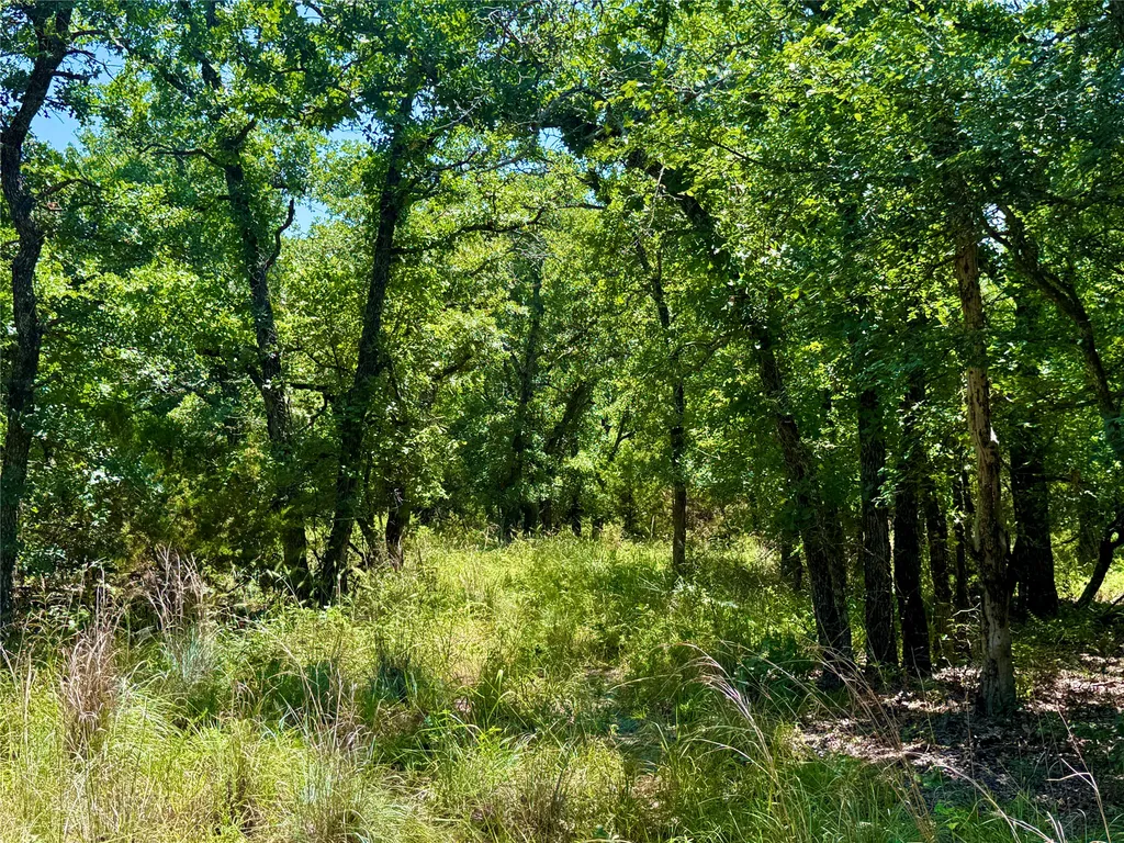 350 Indian Camp Road Weatherford TX 76088