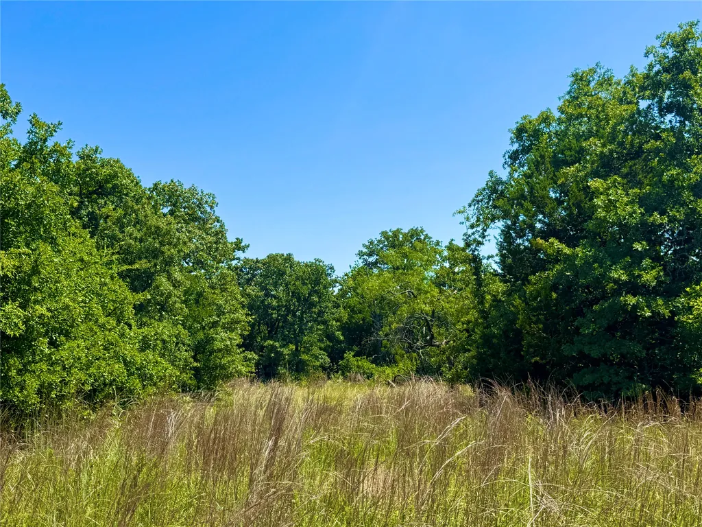 350 Indian Camp Road Weatherford TX 76088