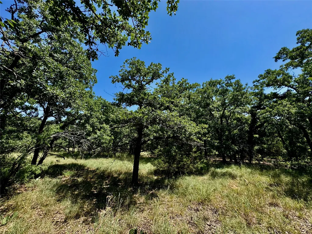 350 Indian Camp Road Weatherford TX 76088