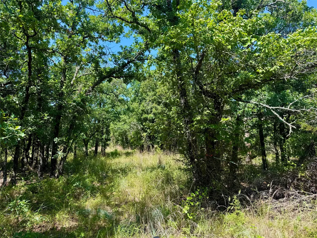 350 Indian Camp Road Weatherford TX 76088