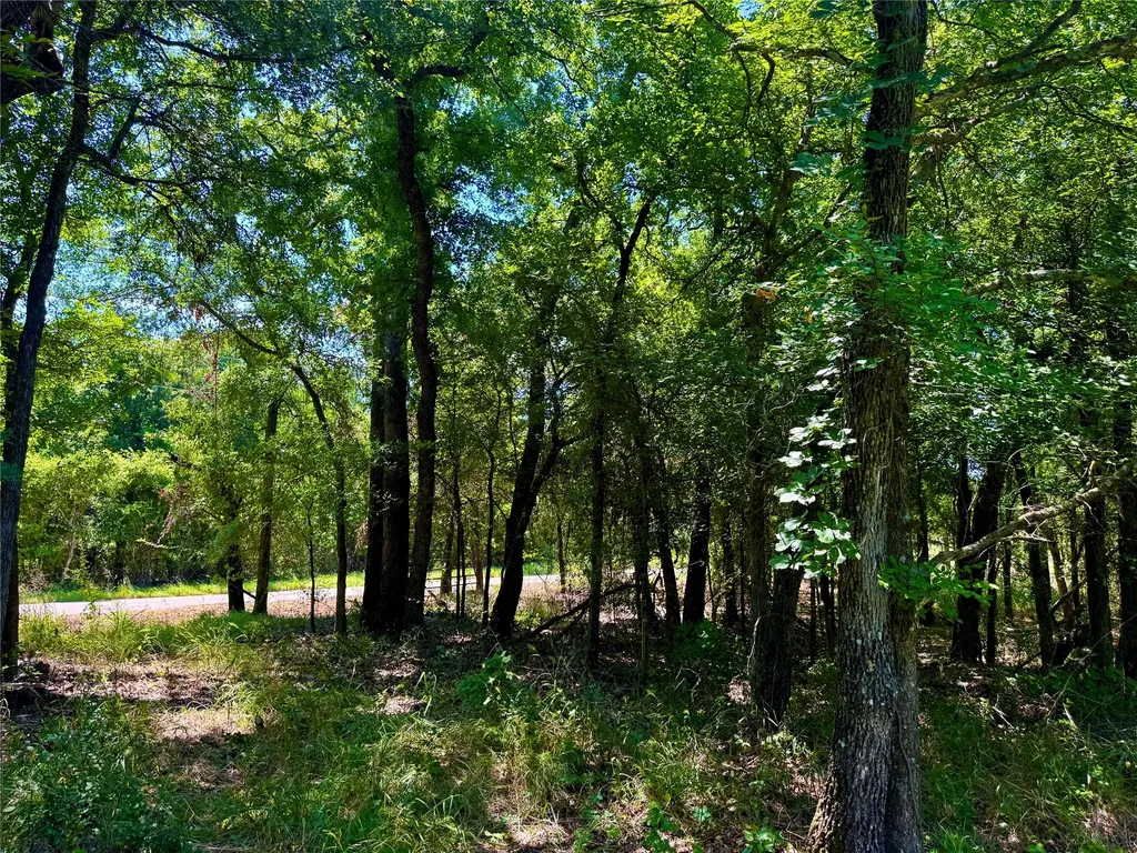 350 Indian Camp Road Weatherford TX 76088