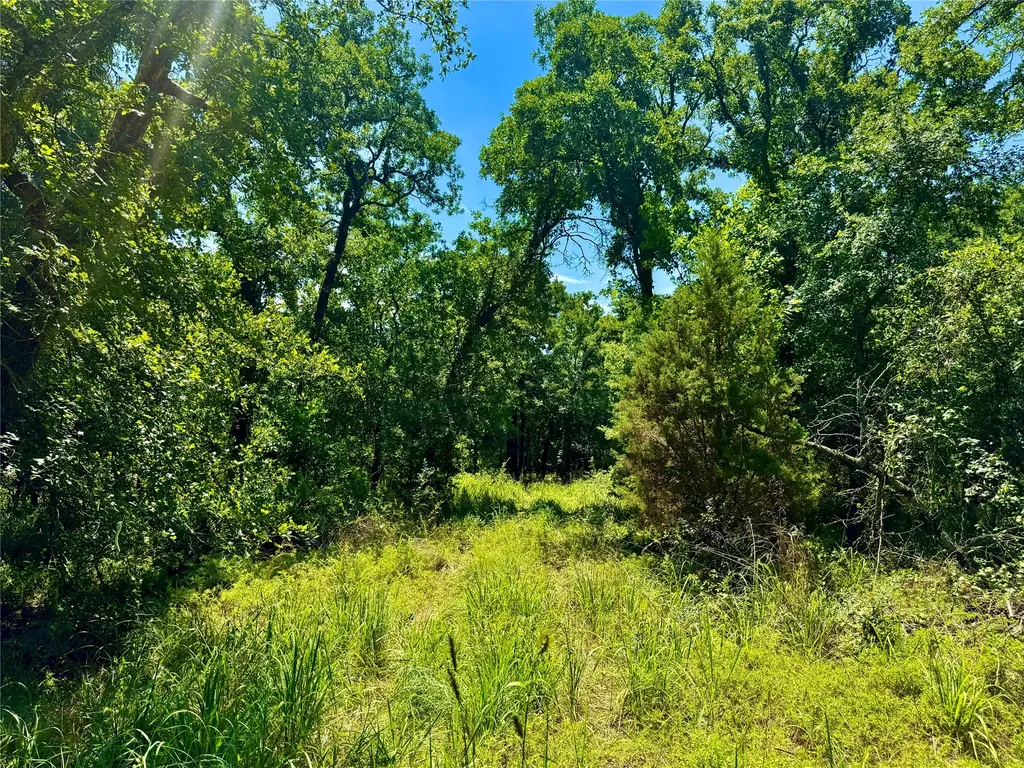 350 Indian Camp Road Weatherford TX 76088