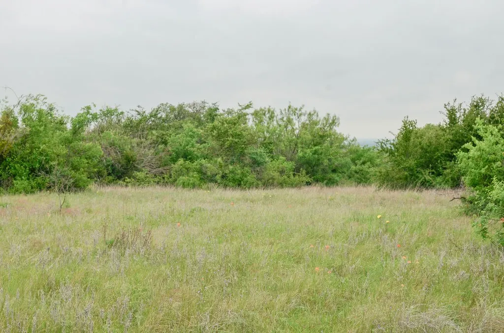 1210 County Road 341 Dublin TX 76446