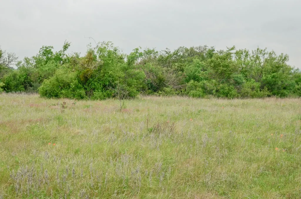 1210 County Road 341 Dublin TX 76446