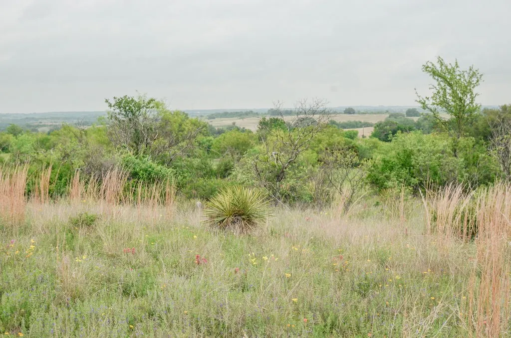 1210 County Road 341 Dublin TX 76446