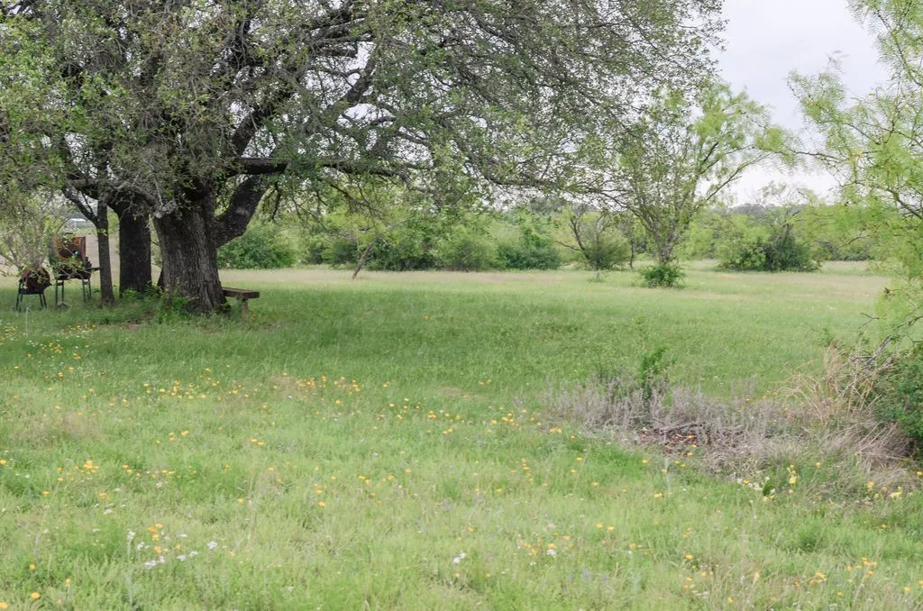 1210 County Road 341 Dublin TX 76446