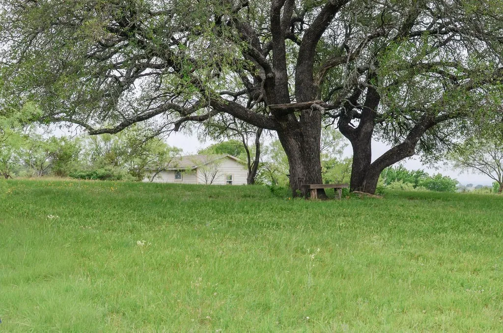 1210 County Road 341 Dublin TX 76446