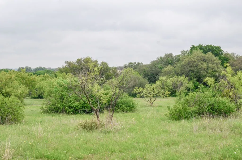 1210 County Road 341 Dublin TX 76446
