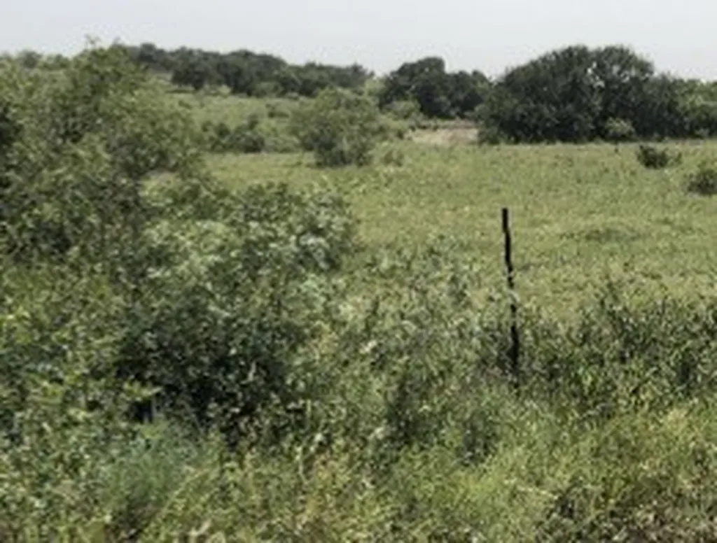 1210 County Road 341 Dublin TX 76446