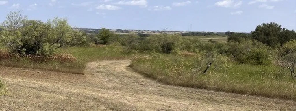 1210 County Road 341 Dublin TX 76446