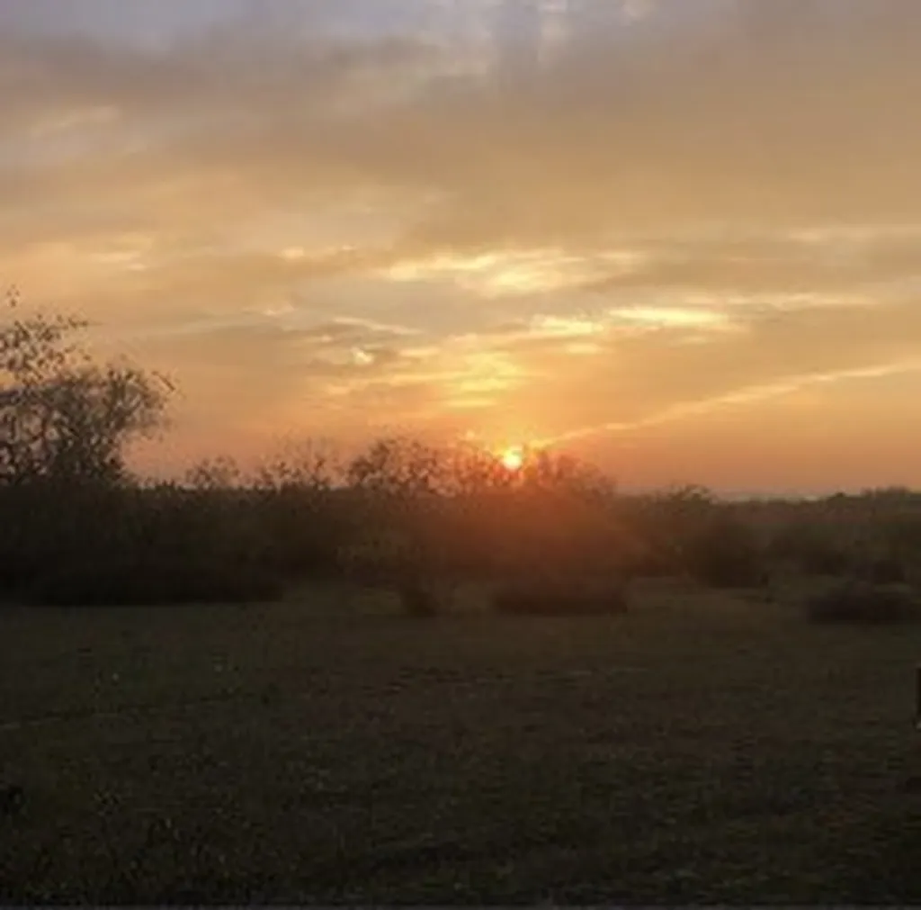 1210 County Road 341 Dublin TX 76446