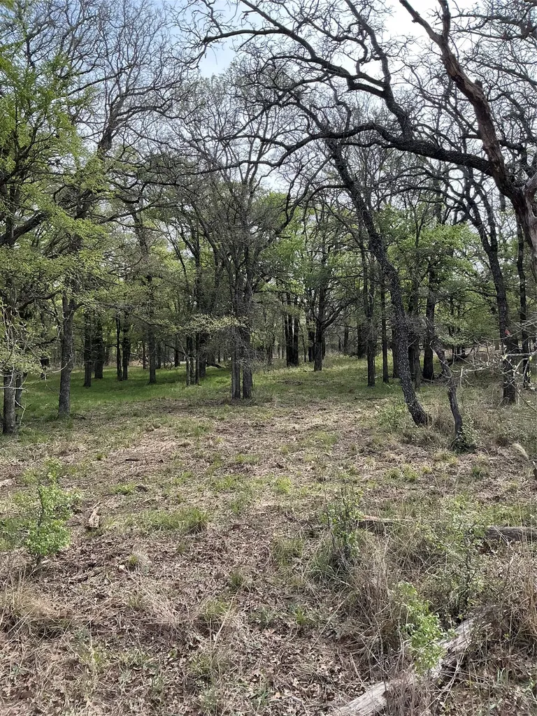 10979 County Road 401 Dublin TX 76446