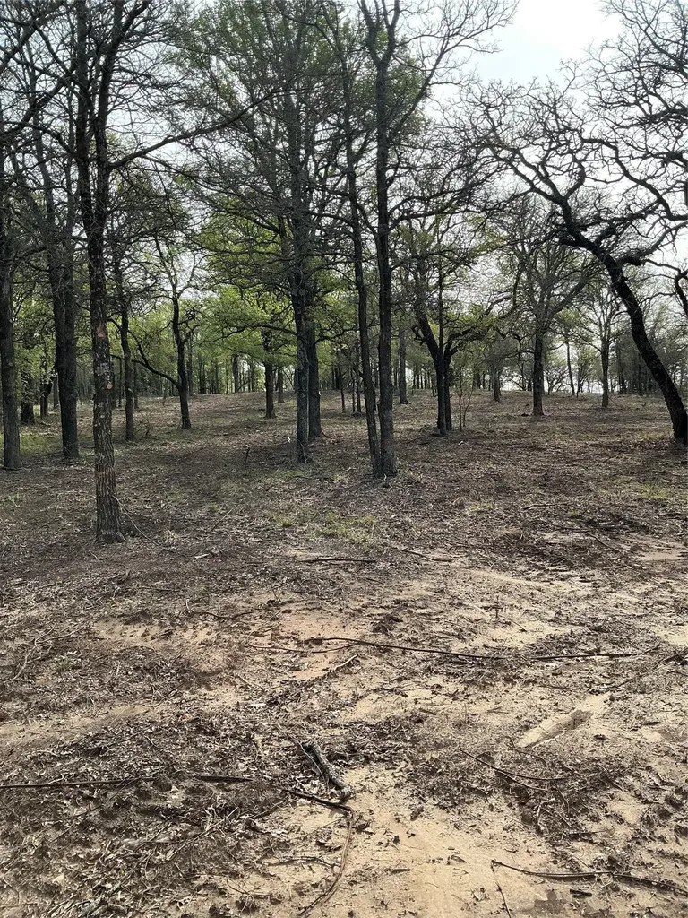 10979 County Road 401 Dublin TX 76446