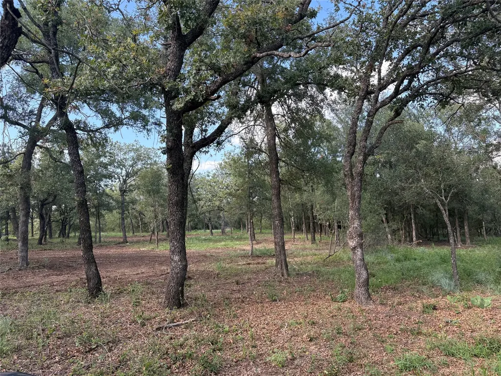10979 County Road 401 Dublin TX 76446