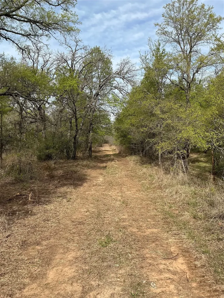 10979 County Road 401 Dublin TX 76446