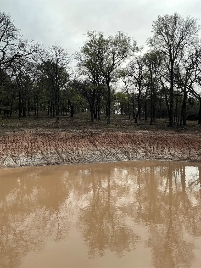 10979 County Road 401 Dublin TX 76446