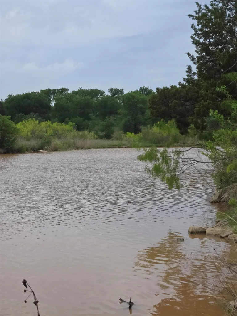 Lot 913 Cinnamon Teal Graford TX 76449