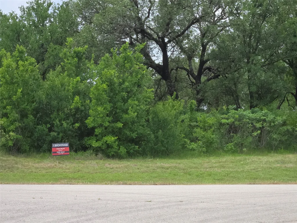 Lot 913 Cinnamon Teal Graford TX 76449
