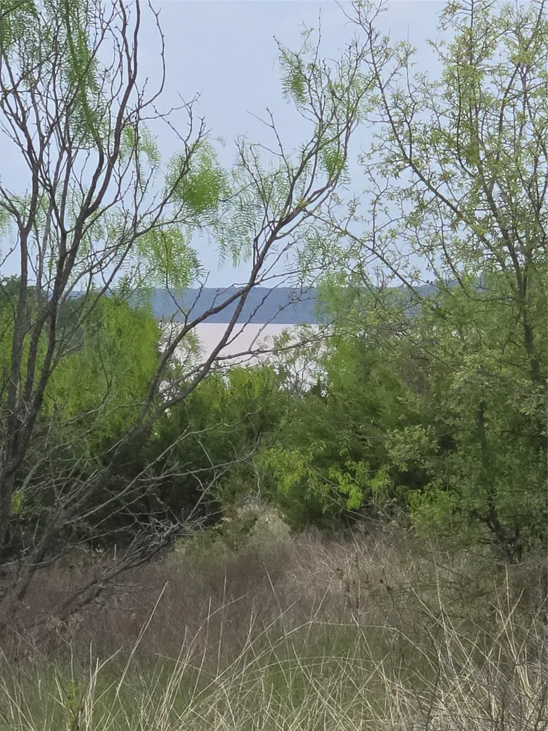 Lot 913 Cinnamon Teal Graford TX 76449